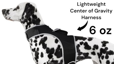 Inexpensive Dog Locator Device Waterproof + Perimeter Fencing Settings Size:XXL